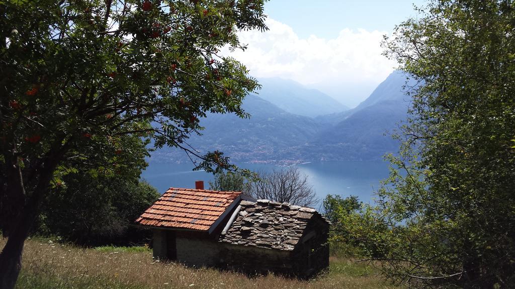 Lake Como View Apartement Allegro Acquaseria Стая снимка